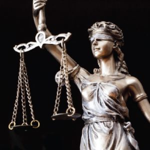 Courtroom Bundle