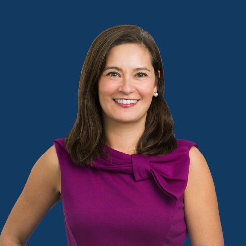Nerissa Coyle McGinn, Attorney Credits CLE instructor and AI, privacy, and intellectual property attorney